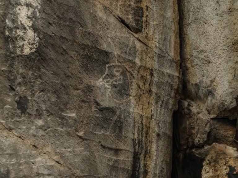 Mexico to Divert Train Route After Cave Art Discovery