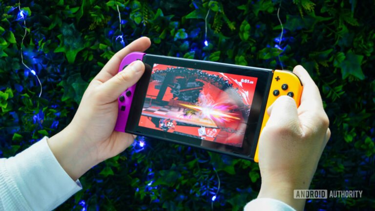 GameCube and Wii emulation on Switch is no longer a huge headache