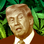 Trump turns over new leaf in GOP drug policy with marijuana, psychedelics orders