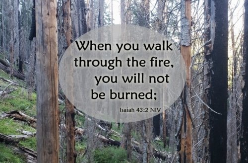 When You Walk Through the Fire – Isaiah 43:1-2