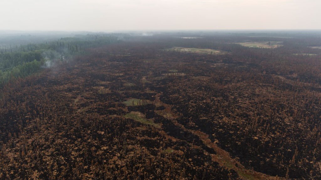 Alaska’s Wildfires Heat the Planet, but Canada’s Cool It