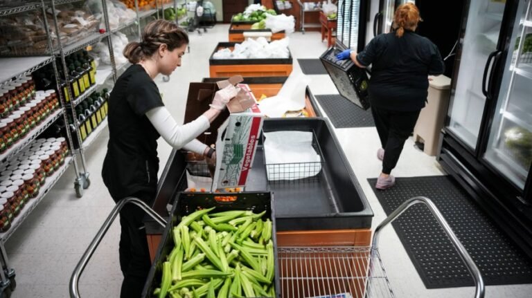 Occupational licensing has a First Amendment problem