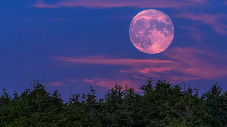 April 2026 full moon tonight: ‘Pink’ moon could rise alongside NASA Artemis II launch. Here’s when to look up