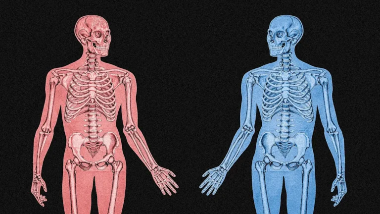 Why workplaces need a gendered health approach