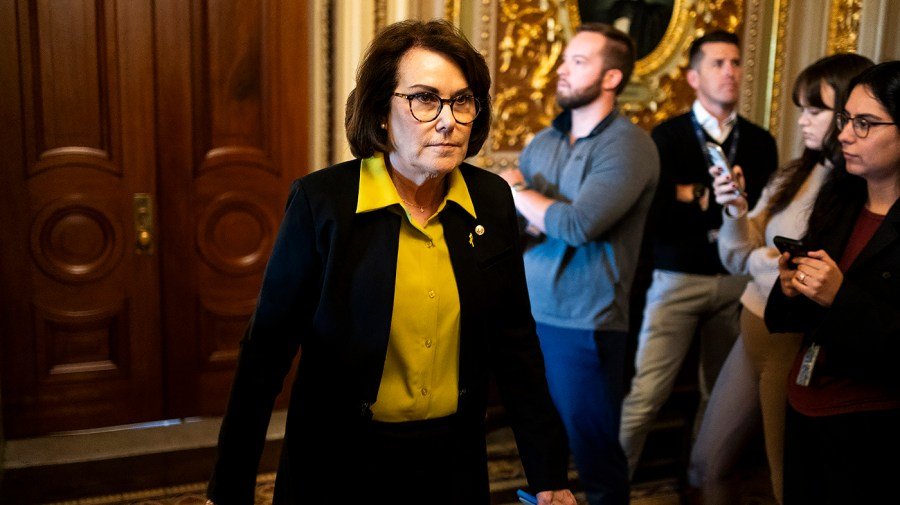 Senate Democrat on Trump ballroom push: 'We can discuss that'