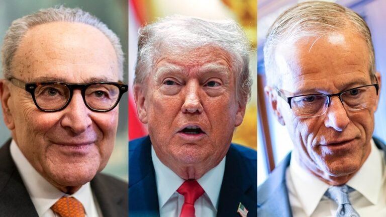 Polls, gas prices have Democrats up and GOP down on midterms