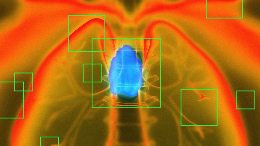 New study finds 1 small organ may play vital role in longevity