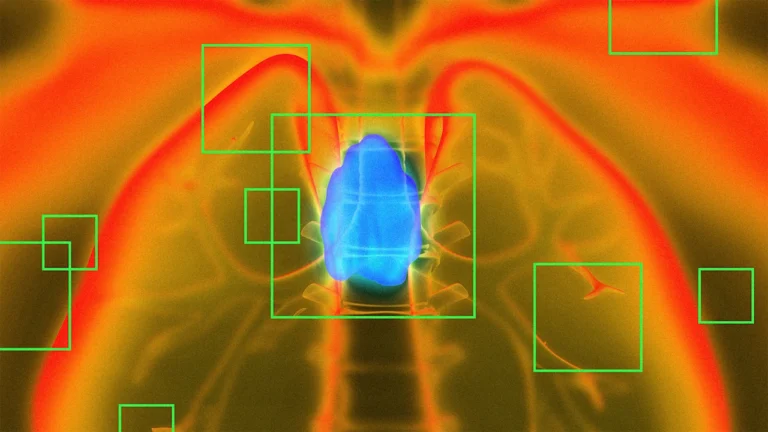 New study finds 1 small organ may play vital role in longevity