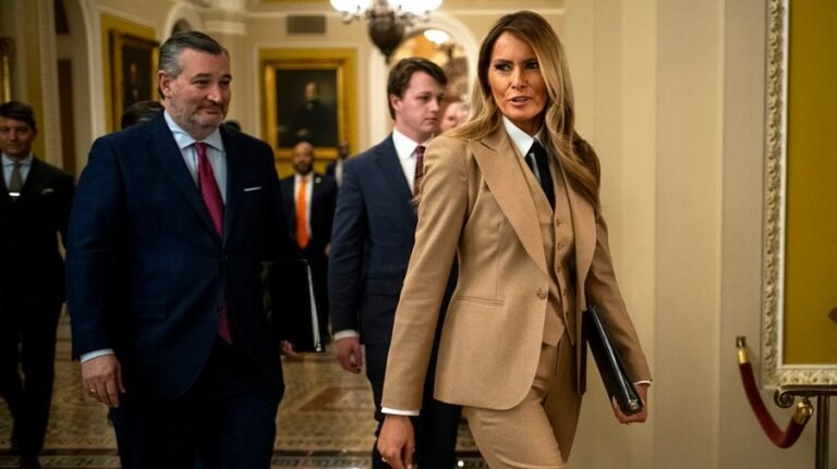 Law criminalizing online sexually explicit images sees first conviction