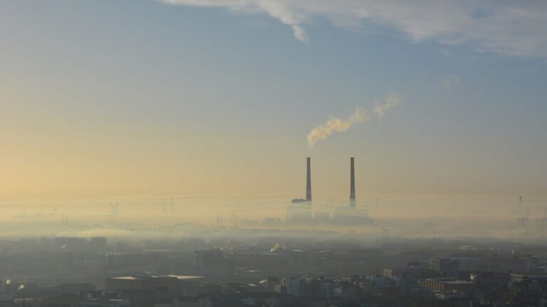 哪些国家因颗粒物空气污染付出的代价最大？