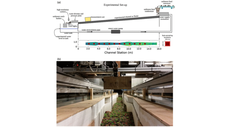 Small and Large Grains Move Differently in Water