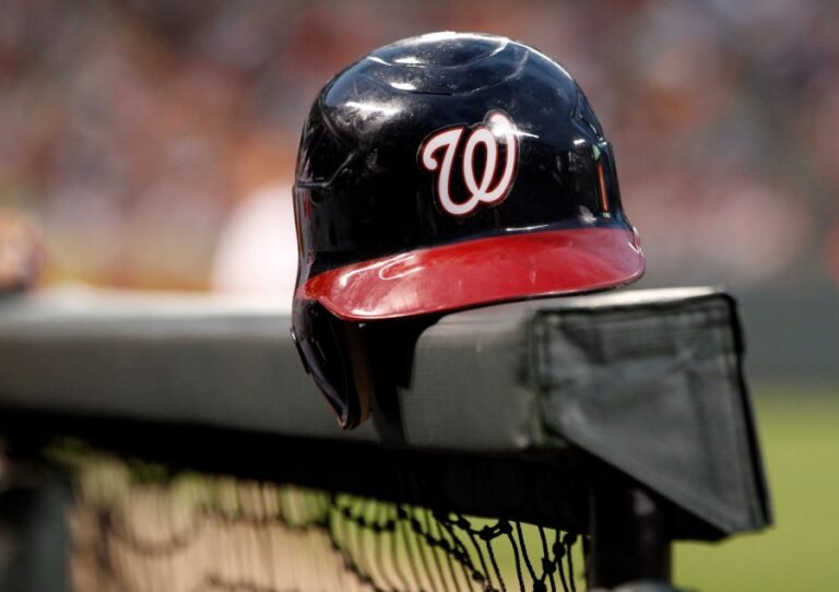 Washington Nationals ban person who unfurled white nationalist banner at game