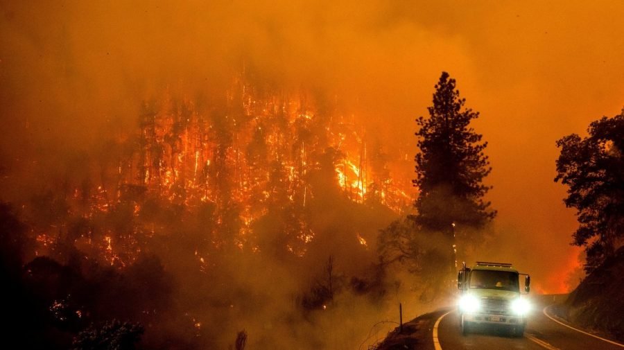 Concerns about Trump cuts to US Forest Service abound as wildfire season comes