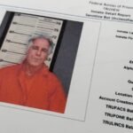 Purported Epstein suicide note released by judge 