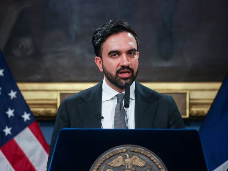 The anti-bureaucracy movement has reached NYC. Just don't call it DOGE.