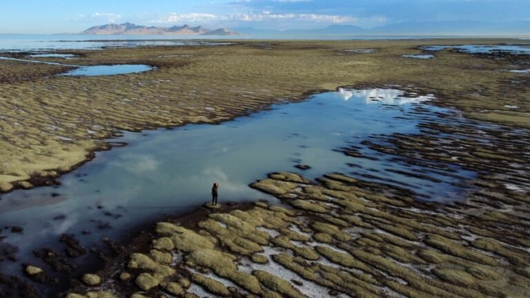 I'm a space scientist. Utah is subsidizing my research with its health.