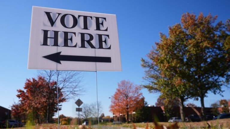 More than half of Americans say they 'definitely will vote' in midterms: Poll