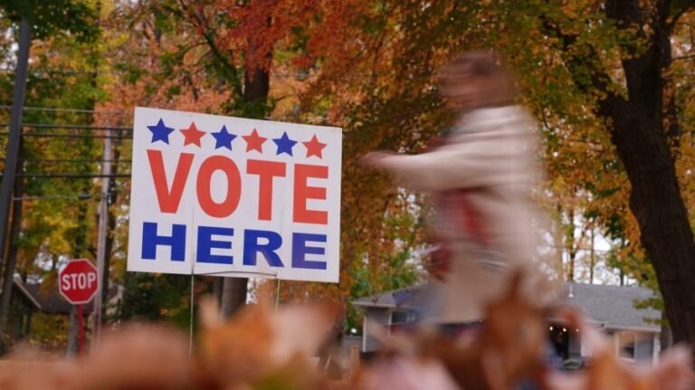 Slight majority favors requiring proof of citizenship to register to vote: Poll