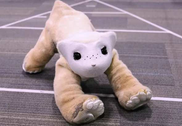 The robotics pioneer of Roomba fame is now developing this 4-legged AI-powered robot