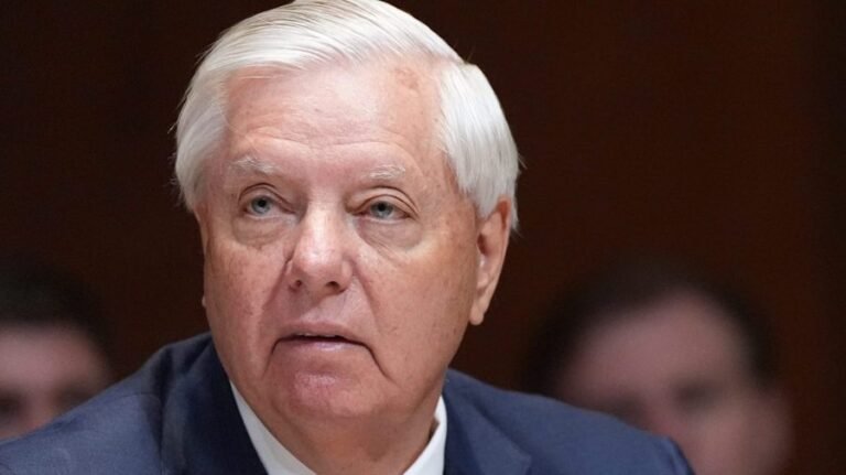 Graham hails Trump's Abraham Accords push after Iran deal criticism: 'Brilliant'