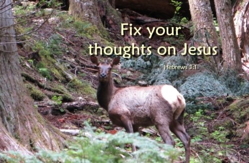 Fix Your Thoughts on Jesus – Hebrews 3:1