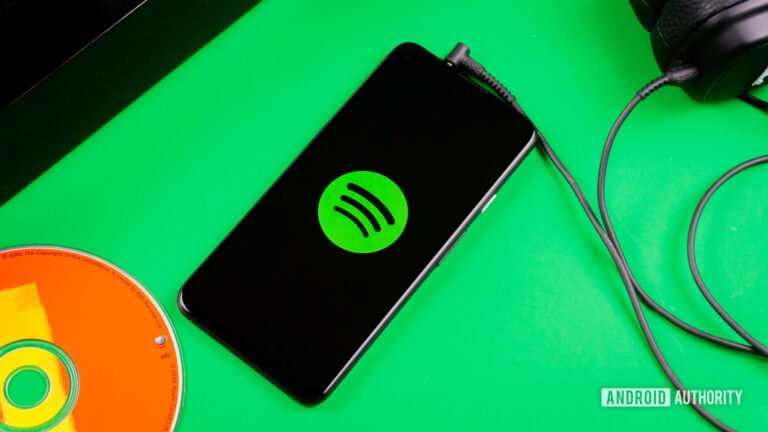 This popular Spotify podcast feature may soon be available for music as well