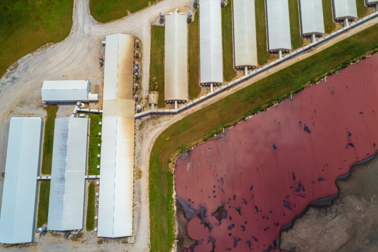 Exclusive: Waste methane to fertilizer startup Windfall Bio auctions off assets