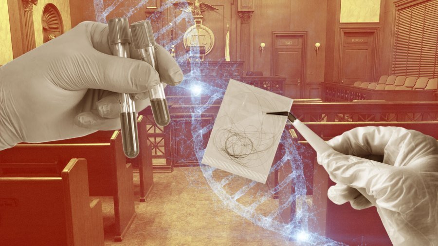 How forensic failure in the courtroom costs lives