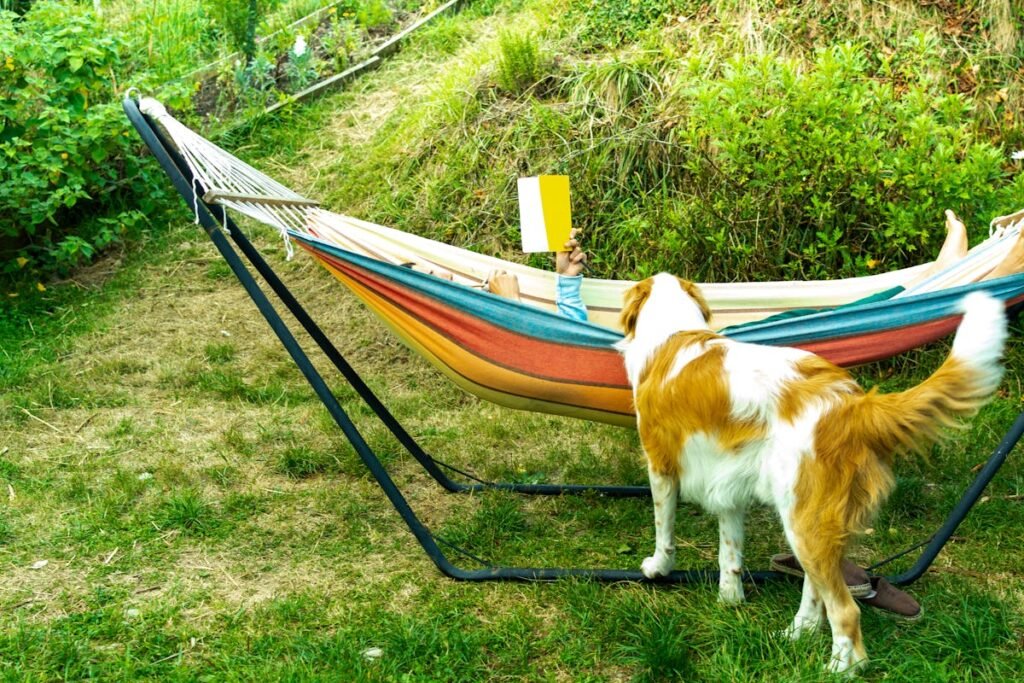 7 Dog-Themed Books For The Whole Family To Read This Summer