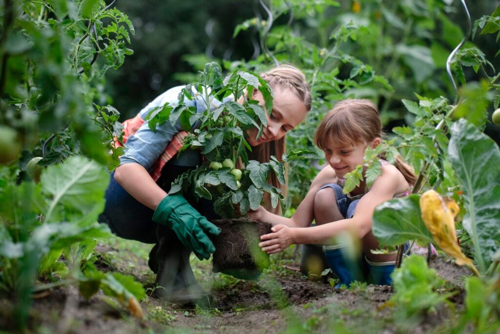 What can you gain from postgraduate study in agriculture?