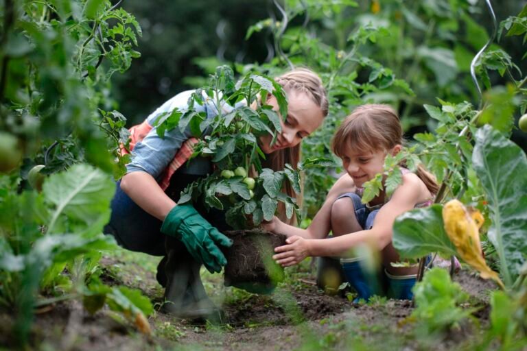 What can you gain from postgraduate study in agriculture?