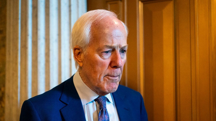 Cornyn: Massie, Cassidy situation with Trump different from mine