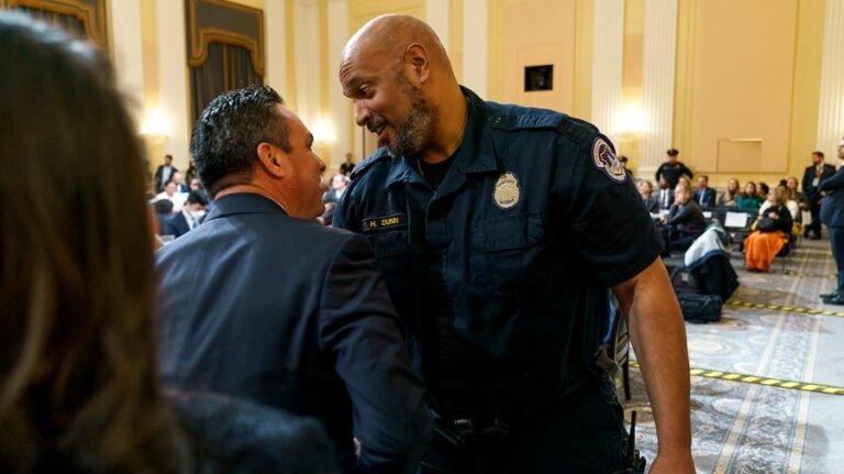 Police officer accuses Trump of 'putting a retainer on a mob' with $1.77B compensation fund