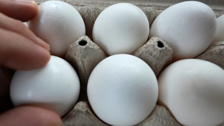 Alzheimer's study finds link between breakfast staple and reduced risk of disease
