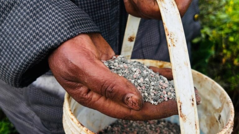 The world needs a Hormuz fertilizer initiative now