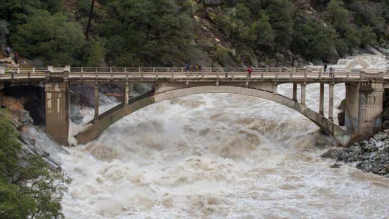 Keeping Humans in the Loop Improves Flood Forecasting