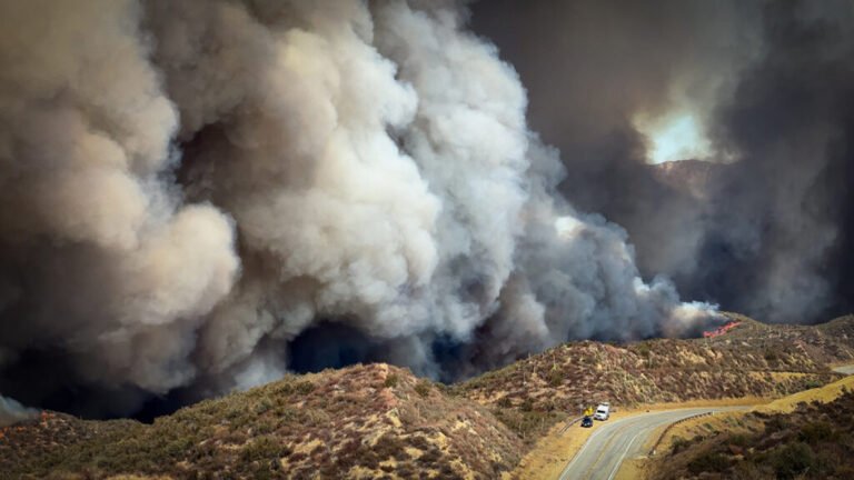 Want to Predict Wildfire Severity? Look to the State of Vegetation