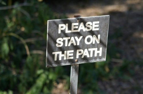 The One Who Obeys Will Never Die – John 8:51