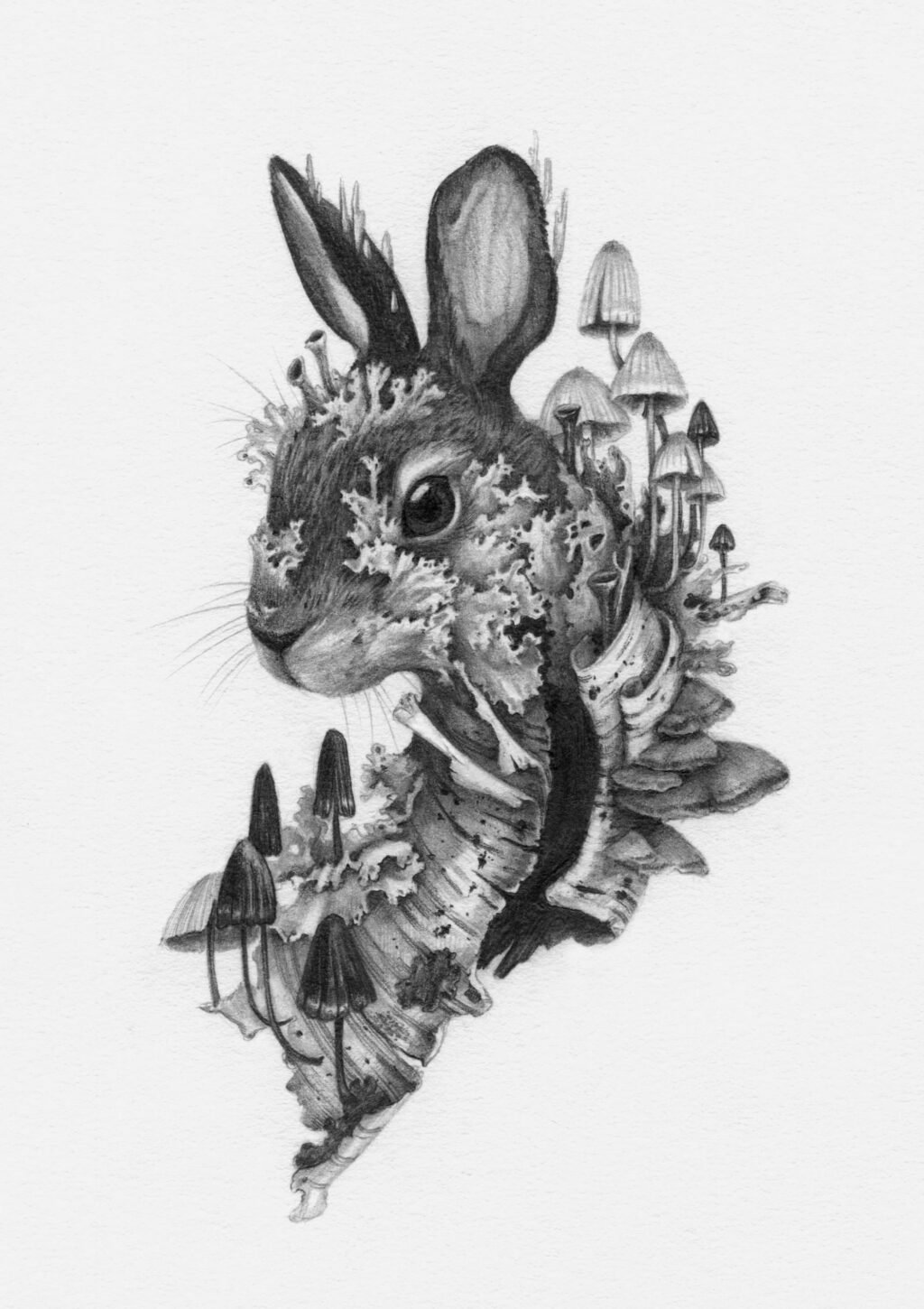 Christina Mrozik Illustrates an ‘Emotional Ecosystem’ Oracle Deck with Fantastical Forms