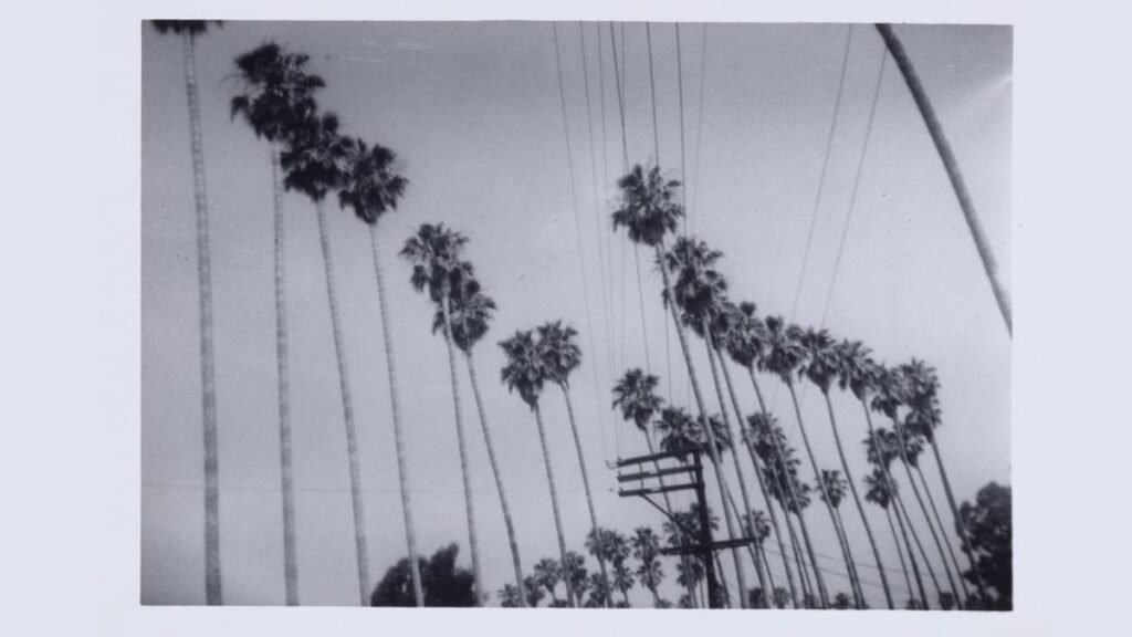Haegue Yang’s Meditations on Exile