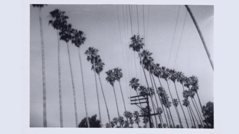 Haegue Yang’s Meditations on Exile