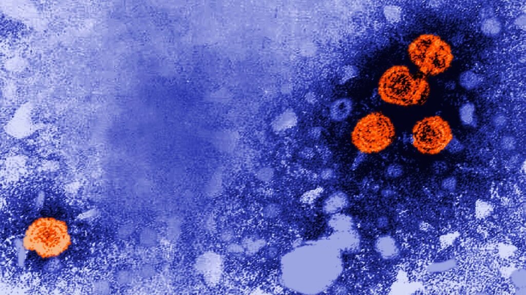A cure for hepatitis B has been elusive, but this experimental drug gets close