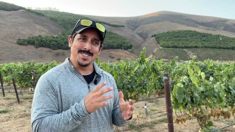 Castoro Cellars deploys Saga Robotics’ UV-C bots across 600 organic acres