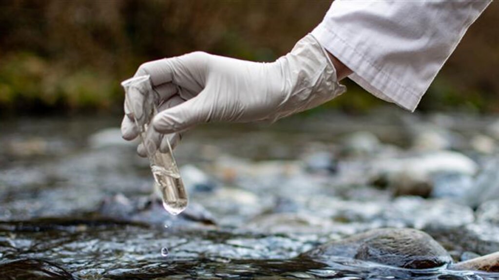 The Persistence of PFAS