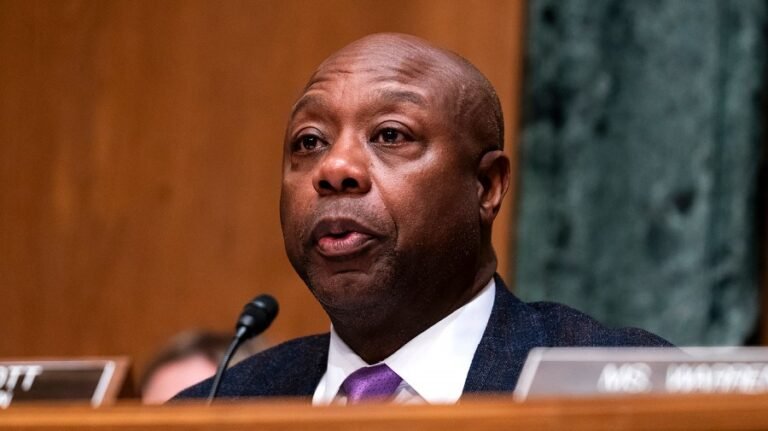 Tim Scott: 'Impossible' for Republicans to let Platner win 