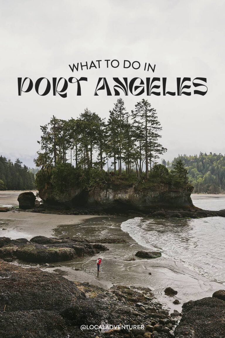 7 Best Things to Do in Port Angeles WA