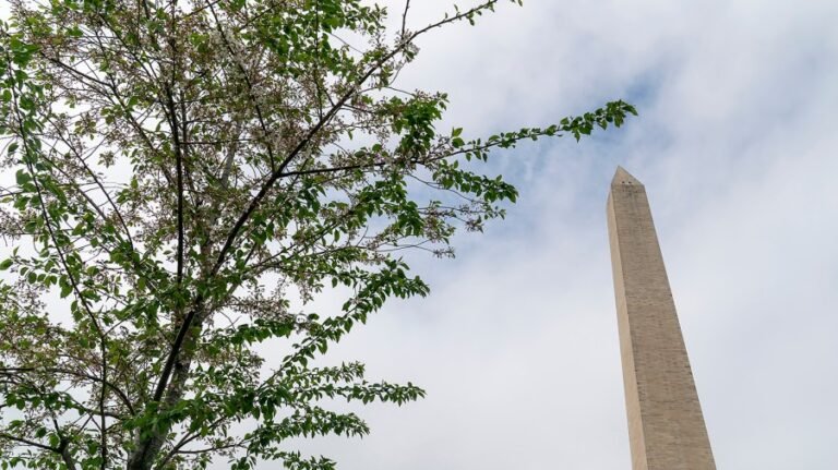 Texas man charged in shooting near Washington Monument on the National Mall