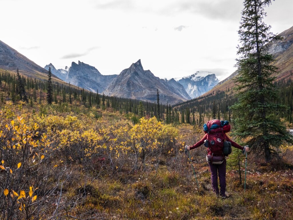 I've been to all 63 US national parks. These 4 are my favorites — but these 3 didn't impress me much.