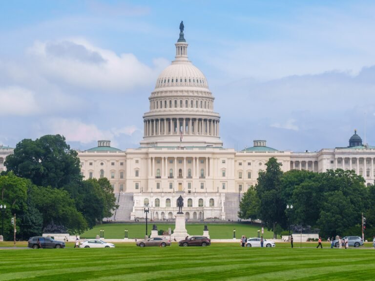 Golden domes, historic statues, and nods to state flags: What the capitol looks like in every state
