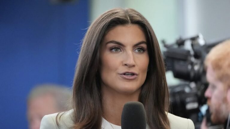 Kaitlan Collins pushes back on Trump rhetoric: Democratic socialism ‘is not communism’